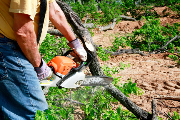 Best Residential Tree Removal  in Neshanic Station, NJ